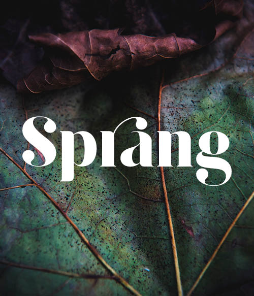 Språng_360x420